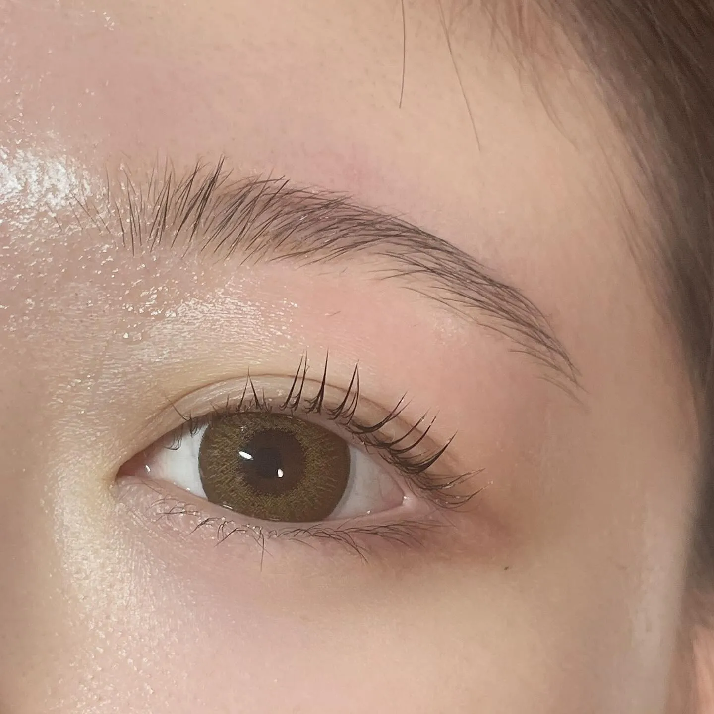 eyebrow wax.🦢🩵